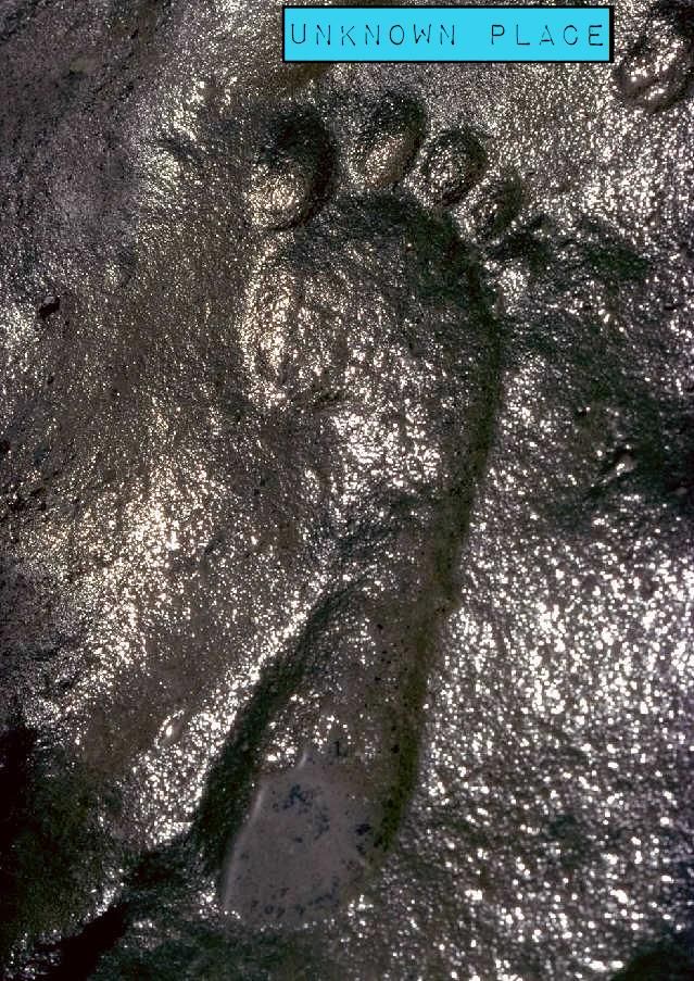giant-footprints-around-the-world-001.jpg