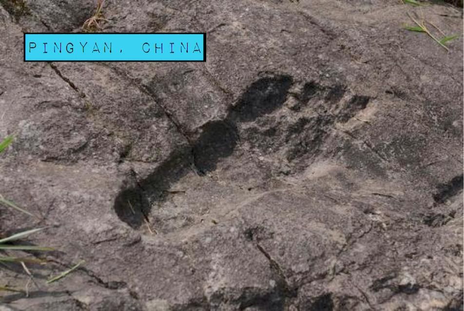 giant-footprints-around-the-world-007.jpg